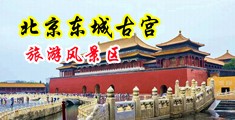 大鸡巴日骚屄视频APP中国北京-东城古宫旅游风景区